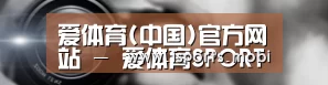 公司动态