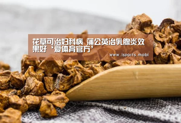花草可治妇科病 蒲公英治乳腺炎效果好‘爱体育官方’(图2) 爱体育官方